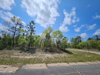 TBD Twin Oak & Canterbury Dr, Chipley, FL 32428