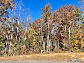 11801 Chesdin Bluff Terrace, Chesterfield, VA 23838