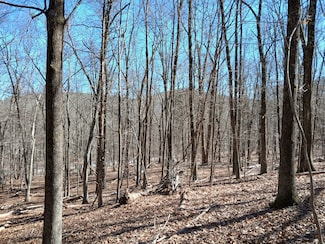 0 Sherman Rd, New Milford, CT 06776