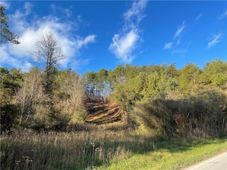 0 Whitestone Rd Unit 7677114, Talking Rock, GA 30175