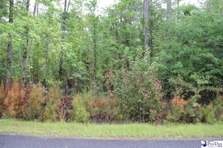 TBD Lot 3 Family Rd, McBee, SC 29101