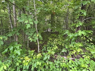 n/a Hensley Rd, Jamestown, TN 38556