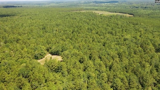 0 Huckleberry Finn Rd, Batesburg, SC 29006