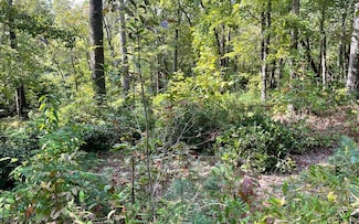 LOT E Timber Ridge Ln, Hayesville, NC 28904