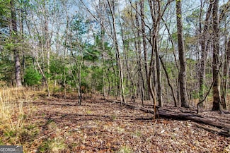1.02 AC- LT 326 Monitor Dr, Ellijay, GA 30540