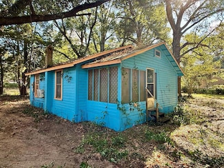 307 E Smith Ave, Geneva, AL 36340