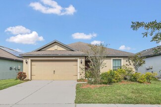 14316 Haddon Mist Dr, Wimauma, FL 33598