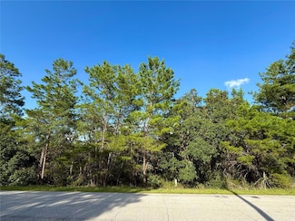 LOT 6 Aspen St, Eustis, FL 32736