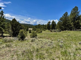 TR42 Cr 329, Westcliffe, CO 81252
