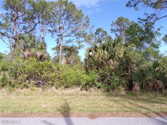 3142 Callisto St, Port Charlotte, FL 33981