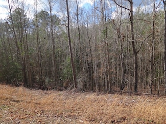 0 County Road 5133 Unit LotWP001, Rose Hill, MS 39356