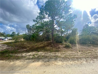 540 Summer Hill Dr, Lake Placid, FL 33852