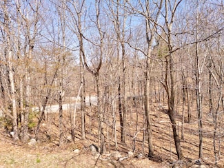 0 Mountain Dr Unit 5039471, New Durham, NH 03855