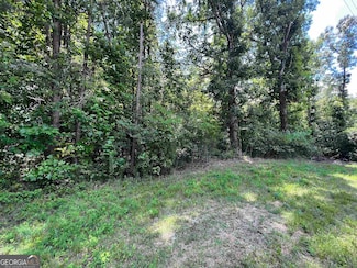 0 W Kytle St Unit 10516438, Cleveland, GA 30528
