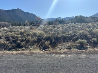0 0 55 Acre Parcel #Scpn-9 Unit 25-260193, Pine Valley, UT 84781
