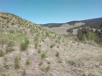 0 Gafvery Creek Rd, Oroville, WA 98844