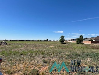 3201 Sterling Ave, Clovis, NM 88101