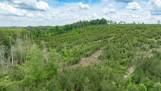 0 Les Smith Rd, Oglethorpe, GA 31068