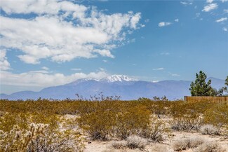 1353 Mile Square Rd, Joshua Tree, CA 92252