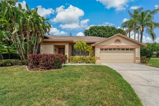 555 Hollowtree Place, Tarpon Springs, FL 34688