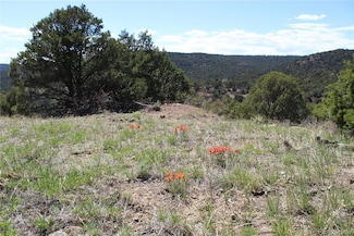 TBD. Picketwire Rd, Trinidad, CO 81082