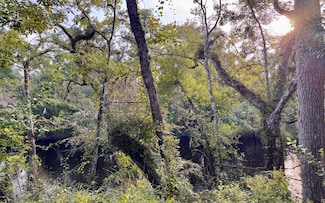 LOT45 NW 79th Dr, Jasper, FL 32052