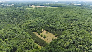 V L 215th Ave Lot Unit WP001, Stanwood, MI 49346