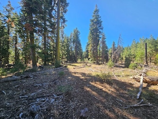 0 Prospect Rd, Alturas, CA 96101