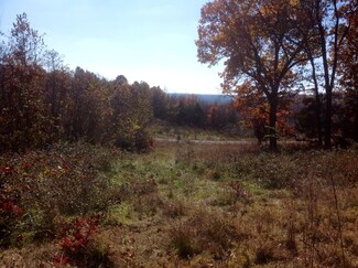0000 W Farm Road 18, Walnut Grove, MO 65770