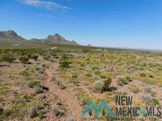 0 San Pedro Rd SE, Deming, NM 88030