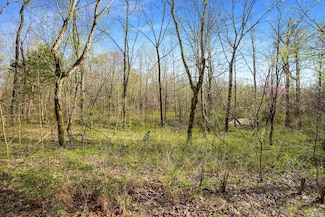0 Melton Springs Rd, Big Rock, TN 37023