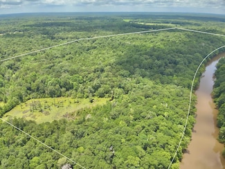 103 acres Westmont St, Geneva, AL 36340