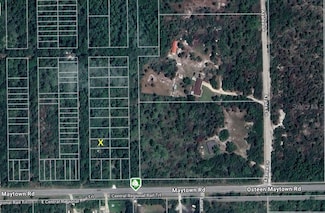 0 Osteen Maytown Rd Unit MFRO6309309, Osteen, FL 32764