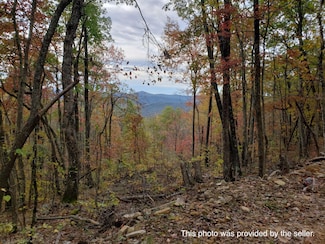 58A Oneida Peak Rd, Tazewell, VA 24651