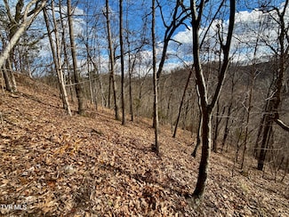 Lot 1 Caney Creek Ln, Greeneville, TN 37745