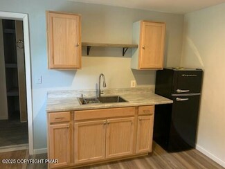 117 Cross St, Pocono Lake, PA 18347