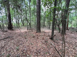 000 U S 84, Opp, AL 36467