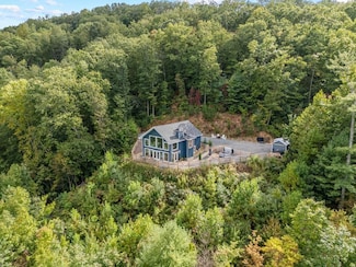 890 Hickory Dr, Mineral Bluff, GA 30559