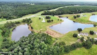 Lot 10 Conner Stringer Dr, Lucedale, MS 39452