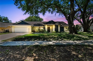 3041 Avalon Terrace Dr, Valrico, FL 33596