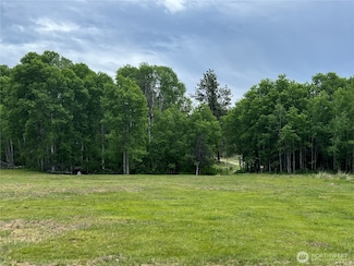 0 Wild Rose Ln Unit NWM2385716, Tonasket, WA 98855