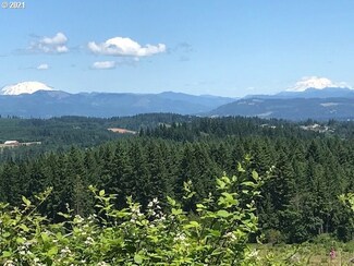 000 Cater Rd, Warren, OR 97053