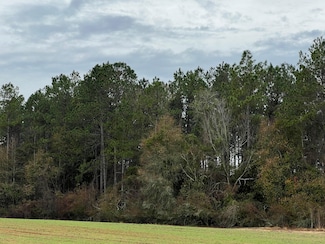 500 Willis Rd, Ty Ty, GA 31795