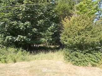 0 Morris Rd Unit NWM1911789, Randle, WA 98377