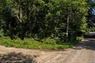 0000 Holmes Road Holmes St, White Lake Charter Township, MI 48386