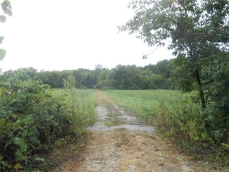 0 Rr 1 Unit 16069251, Ramsey, IL 62080