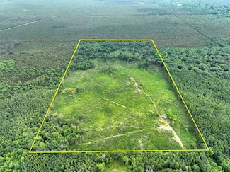 10000 Lake Station Ave, Winterfield Township, MI 49665