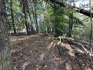 00 Hammett Grove Rd, Spartanburg, SC 29307