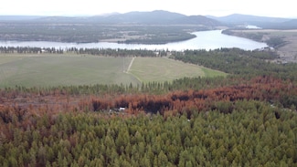 0 Xxx Coyote Ridge Ln Unit parcel  07312.9008, Ford, WA 99013