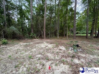 25 Wilson St, Society Hill, SC 29593